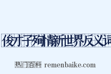 俊才子殉情新世界反义词是什么意思的图片